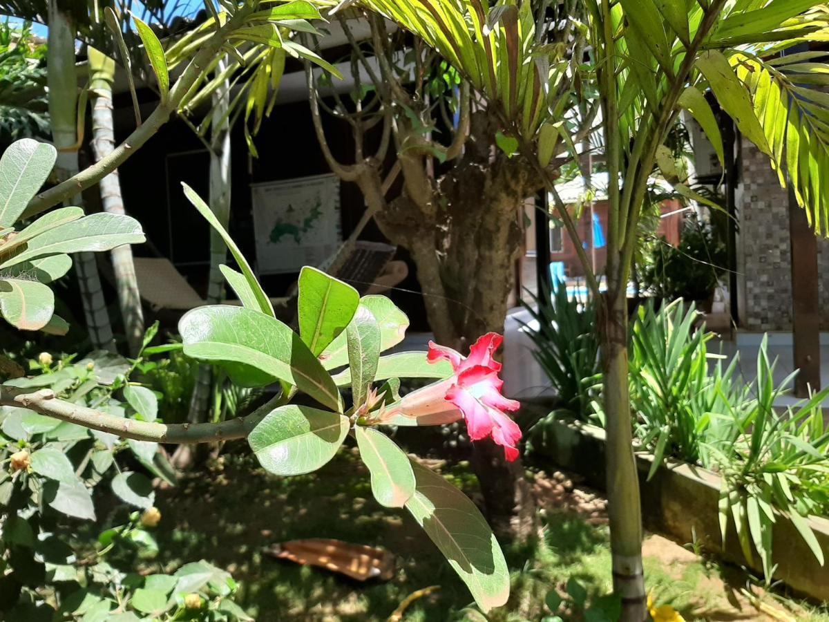Pousada Das Flores Fernando de Noronha Ngoại thất bức ảnh